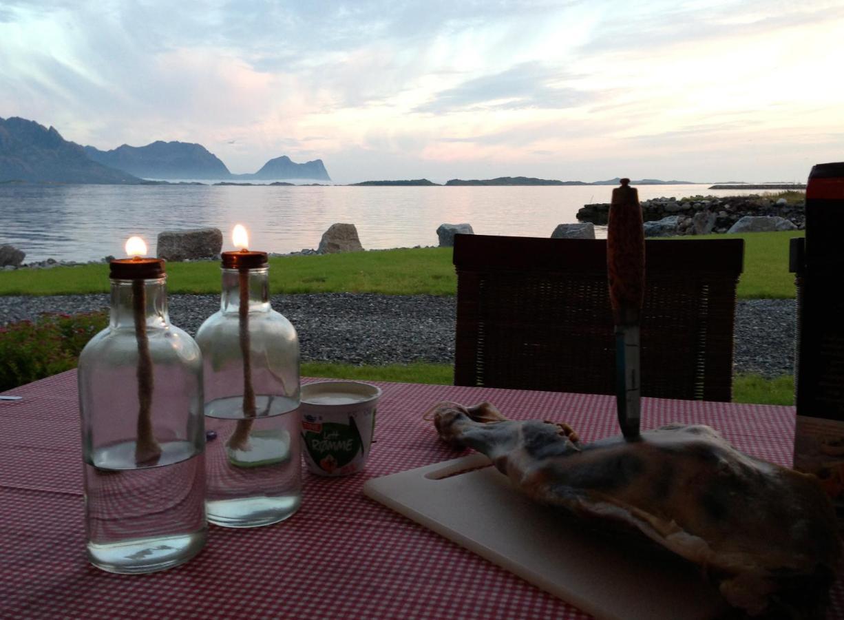 Tinebua Basecamp Senja Vandrerhjem Berg  Eksteriør bilde